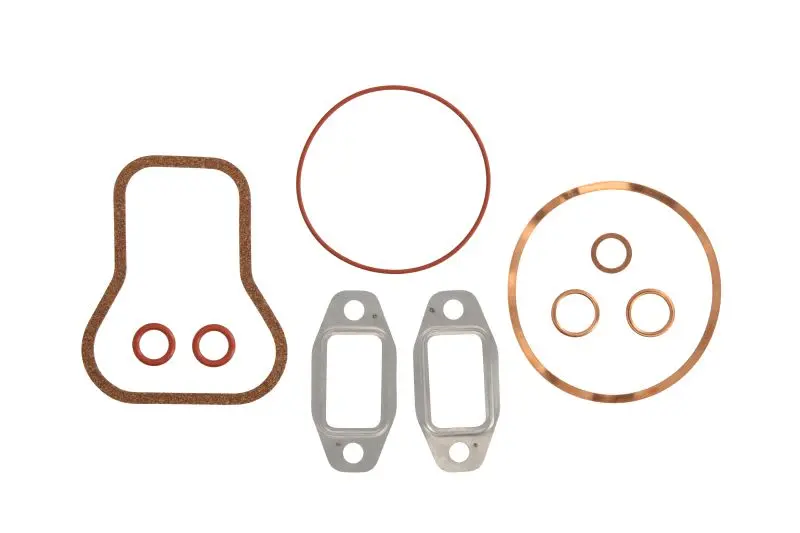 Uszczelka głowicy cylindrów REINZ – 03-16113-01