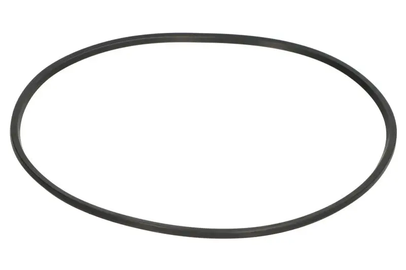 Uszczelniacz skrzyni biegów (oring) ZF – 0501 332 036