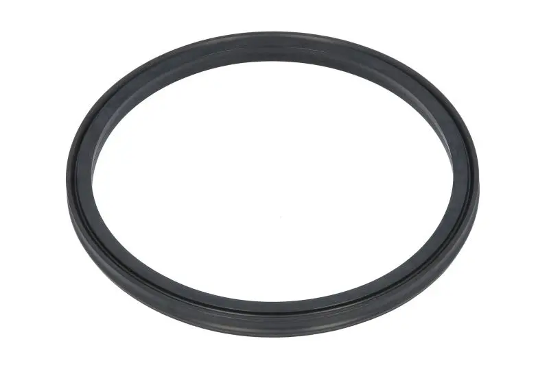 Oring skrzyni biegów (tłoka hamulca bocznikowego) ZF TRAXON – 0501328752ZF
