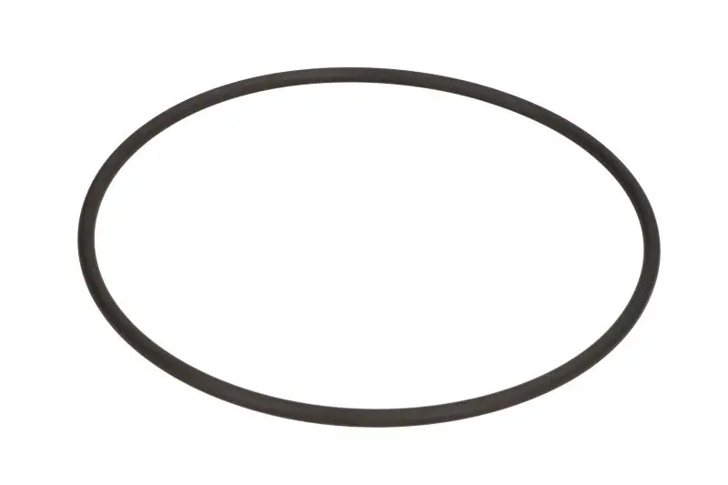Oring skrzyni biegów 117,07xx3,5mm ZF T 7113 L – 0634304195ZF