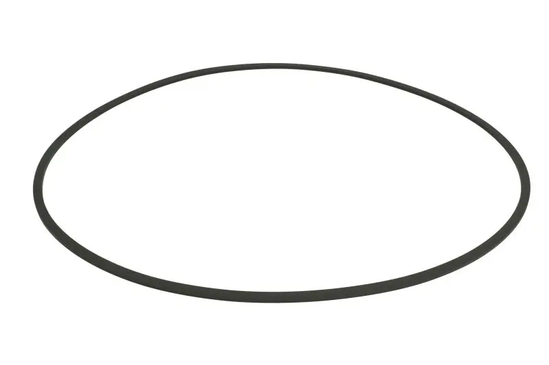 Uszczelniacz skrzyni biegów (x2,5 oring) ZF – 0634305093ZF