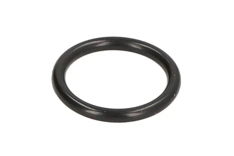 Oring skrzyni biegów 15x19x2mm ZF T 7336 L – 0634306524ZF