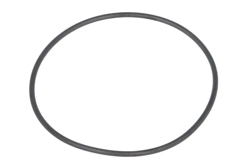 Oring skrzyni biegów 94,5x3mm ZF – 0634313369ZF