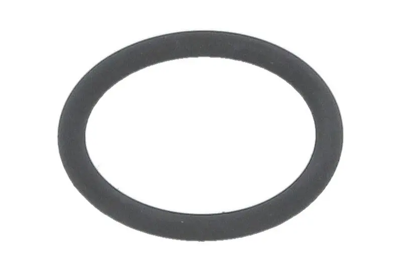 Oring skrzyni biegów ZF – 0634316217ZF