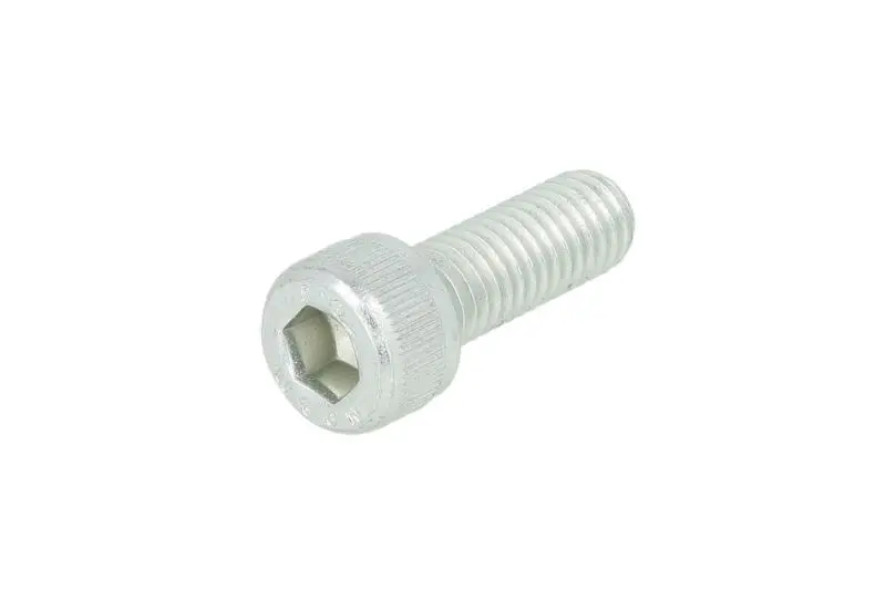 Uszczelniacz skrzyni biegów (zatyczka M8x22) ZF AS TRONIC – 0636115300ZF