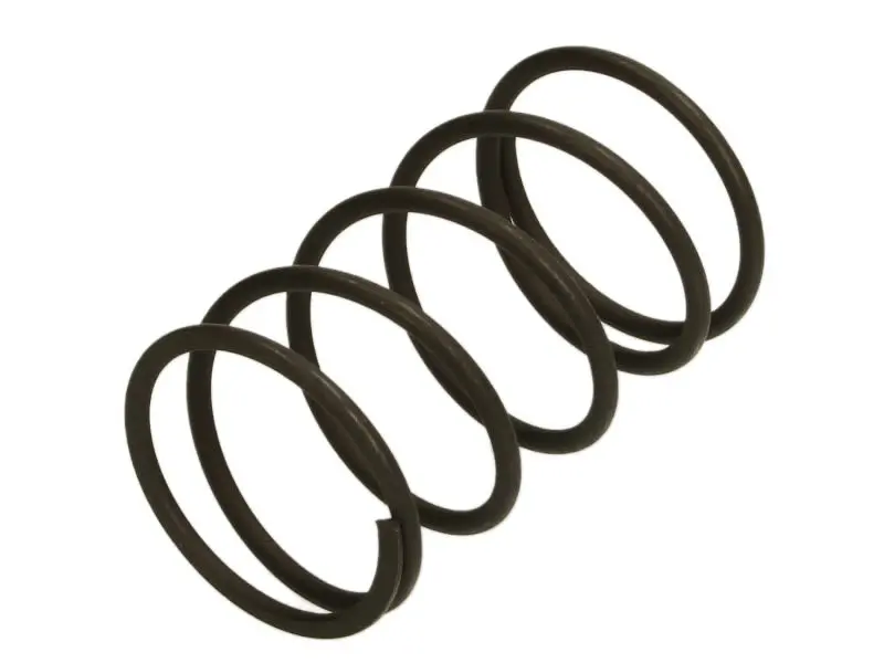 Zestaw naprawczy mechanizmu zmiany biegów (Sprężyna wybieraka) ZF ECOLITE – 0732040392ZF