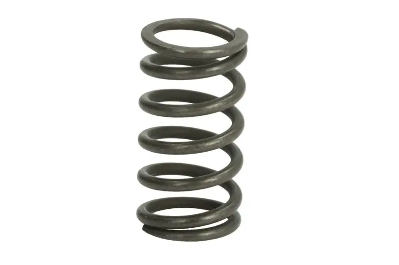 Element wybieraka skrzyni biegów (sprężyna) (16 S 151 ZF – 0732041612ZF