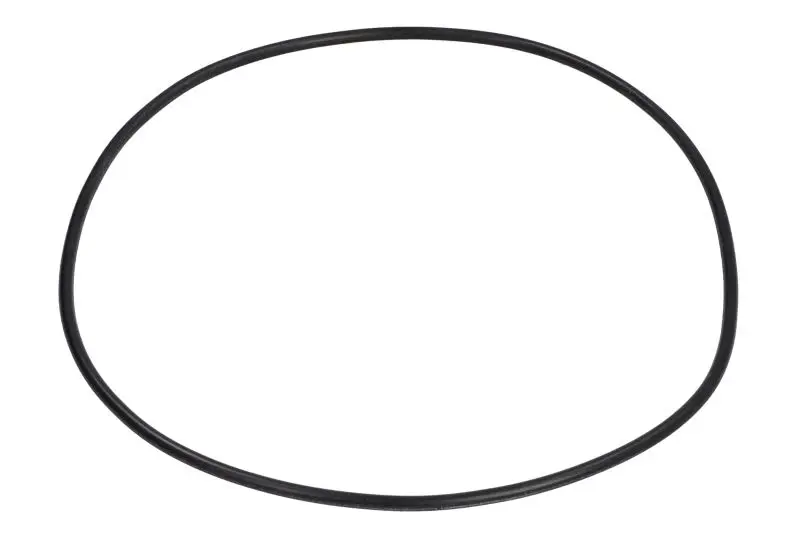 Element automatycznej skrzyni biegów (oring) ZF – 0734 313 096