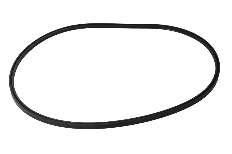 Element mostu (pierścień) ZF MT 3095 / HK – 0734317376ZF