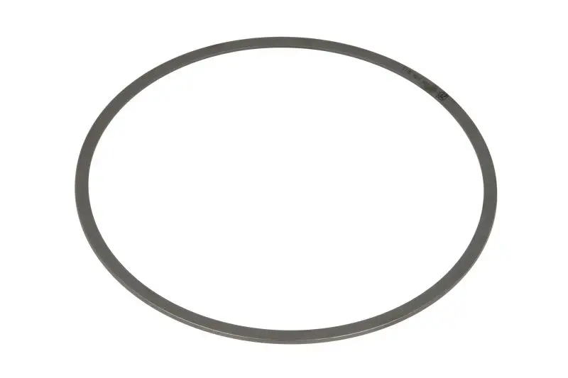 Pierścień zabezpieczający ZF 5 HP 500 – 0750106078ZF