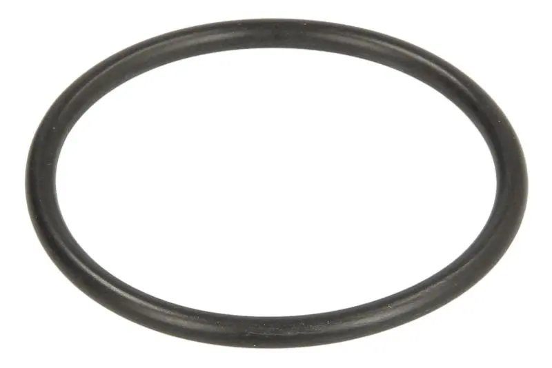 Oring skrzyni biegów 42xx3mm ZF – 0769151008ZF