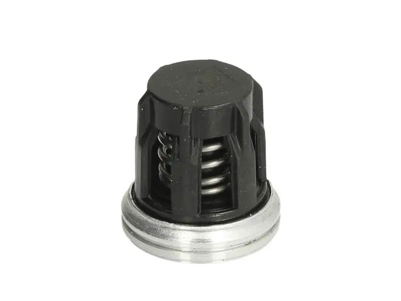 Zawór zwrotny układu zasilania paliwa (przepływowy) DT SPARE PARTS – 1.10275