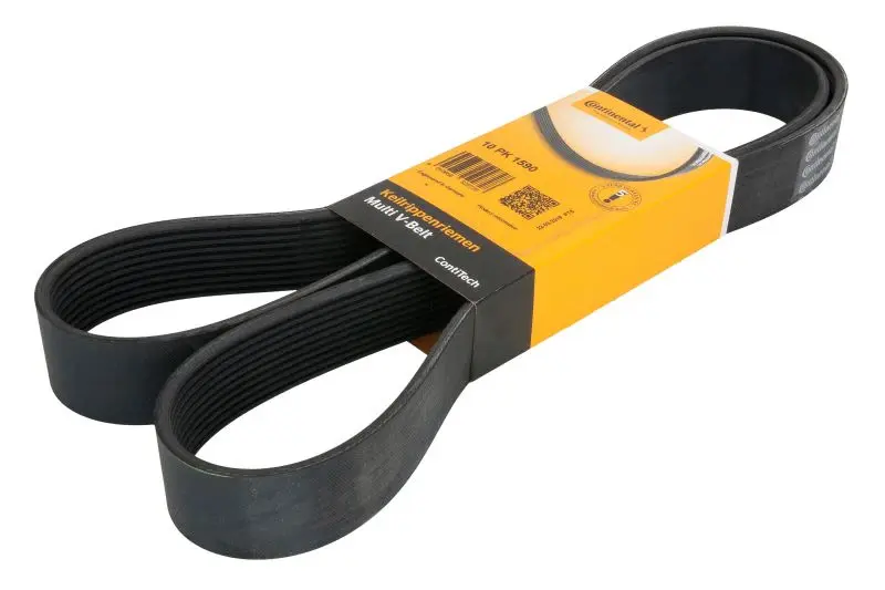 Pasek wielorowkowy (10PK1590) CONTITECH – 10 PK 1590