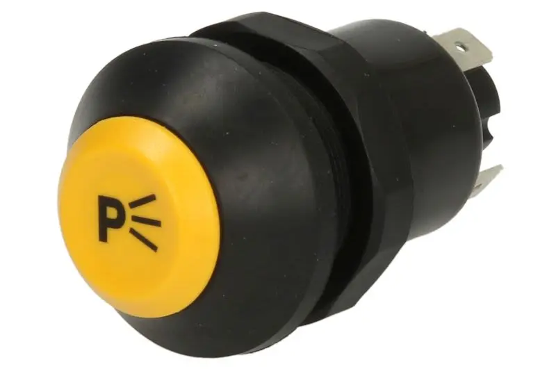 Włącznik świateł głównych PNEUTRON – 11130030AX