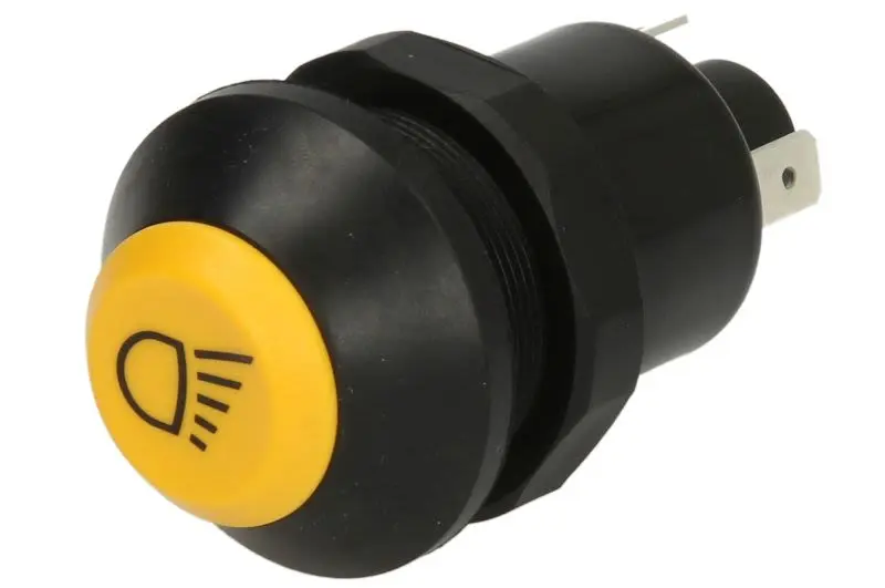 Włącznik świateł głównych PNEUTRON – 11130170AX