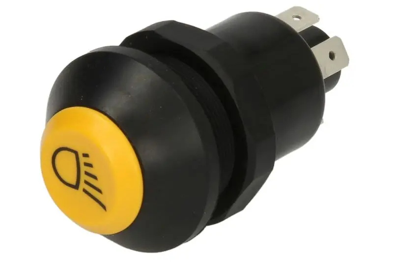 Włącznik świateł głównych PNEUTRON – 11130790XX