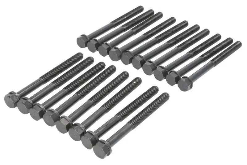 Zestaw śrub głowicy cylindrów REINZ – 14-10021-01