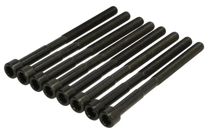 Zestaw śrub głowicy cylindrów REINZ – 14-12060-01