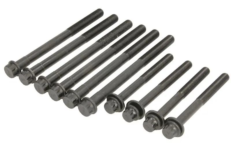 Zestaw śrub głowicy cylindrów REINZ – 14-13344-01