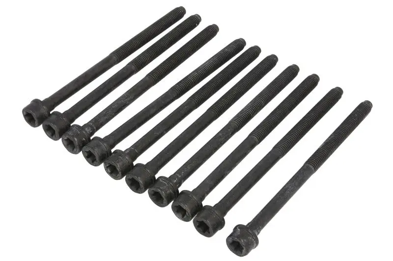 Zestaw śrub głowicy cylindrów REINZ – 14-17428-01
