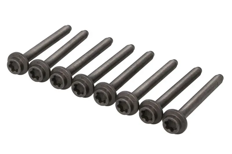 Zestaw śrub głowicy cylindrów REINZ – 14-17482-01
