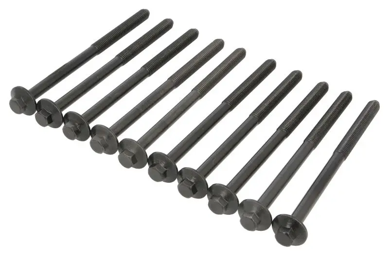 Zestaw śrub głowicy cylindrów REINZ – 14-18424-02