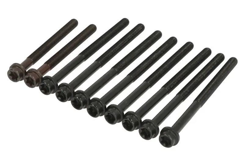 Zestaw śrub głowicy cylindrów REINZ – 14-32134-01