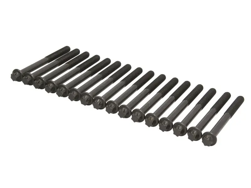 Zestaw śrub głowicy cylindrów (16szt.) REINZ – 14-32238-02