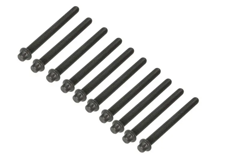 Zestaw śrub głowicy cylindrów (10szt.) REINZ – 14-32252-03