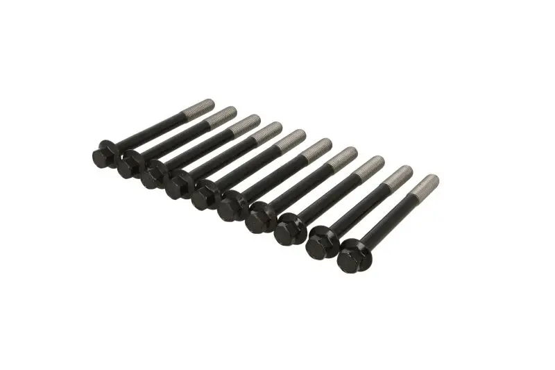 Zestaw śrub głowicy cylindrów REINZ – 14-32304-01