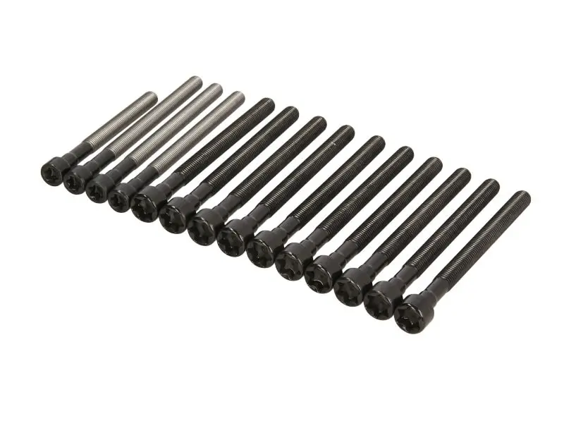 Zestaw śrub głowicy cylindrów REINZ – 14-32315-01