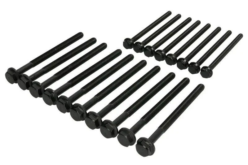 Zestaw śrub głowicy cylindrów REINZ – 14-32341-01