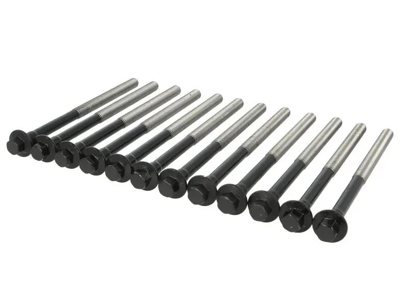 Zestaw śrub głowicy cylindrów REINZ – 14-32379-01