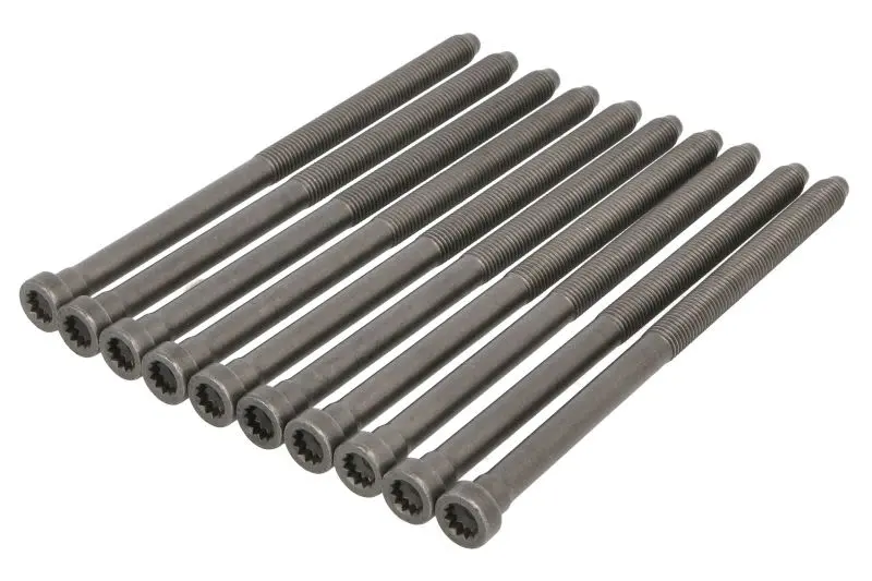 Zestaw śrub głowicy cylindrów REINZ – 14-32384-01