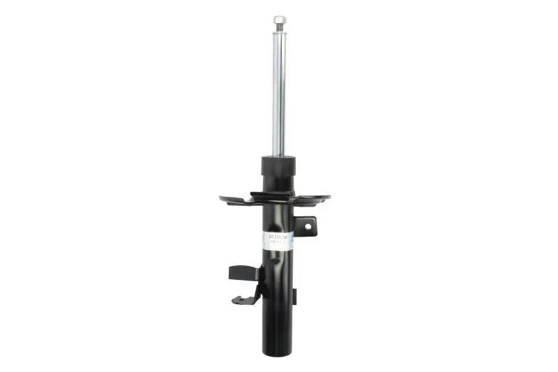 Amortyzator zawieszenia BILSTEIN – 22-255969
