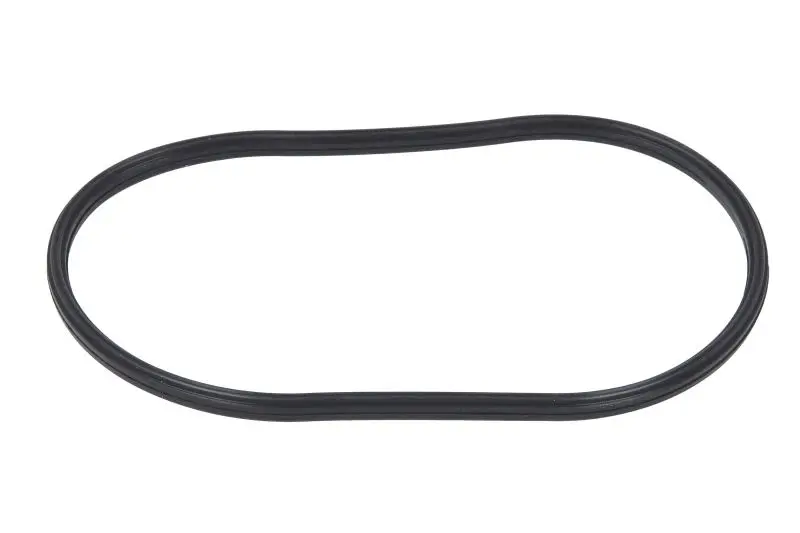Uszczelniacz wału korbowego FP DIESEL – 2685589-FP
