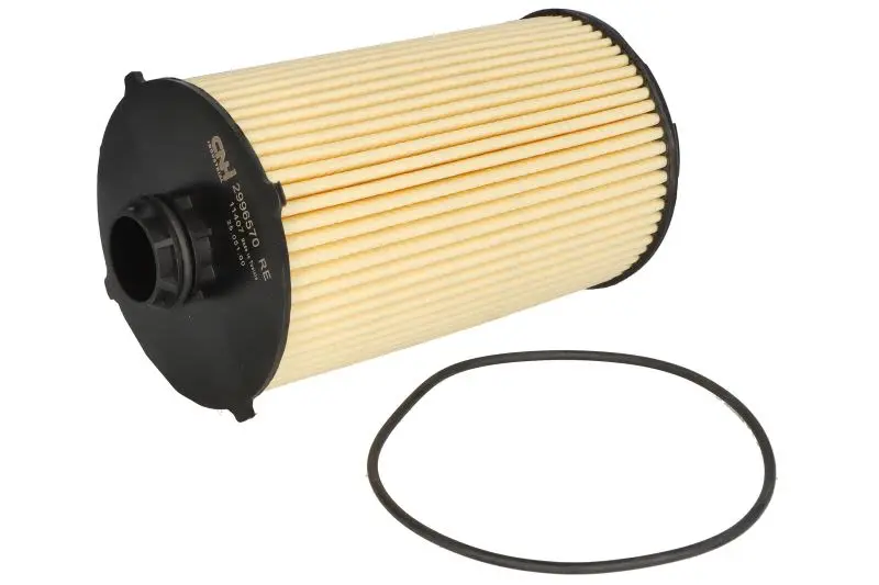 Filtr oleju (wkład filtra) FPT – 2996570-FPT