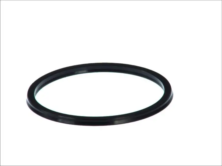 Element blokujący synchronizatora (uszczelniacz) ZF 16 S 151 DT SPARE PARTS – 4.20254