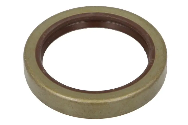 Uszczelniacz wałka rozpieracza (42x55) DT SPARE PARTS – 4.20682