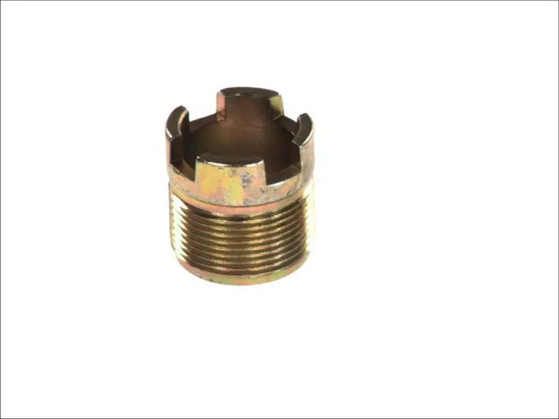 Element wtryskiwacza konwencjonalnego (22) DT SPARE PARTS – 4.40069