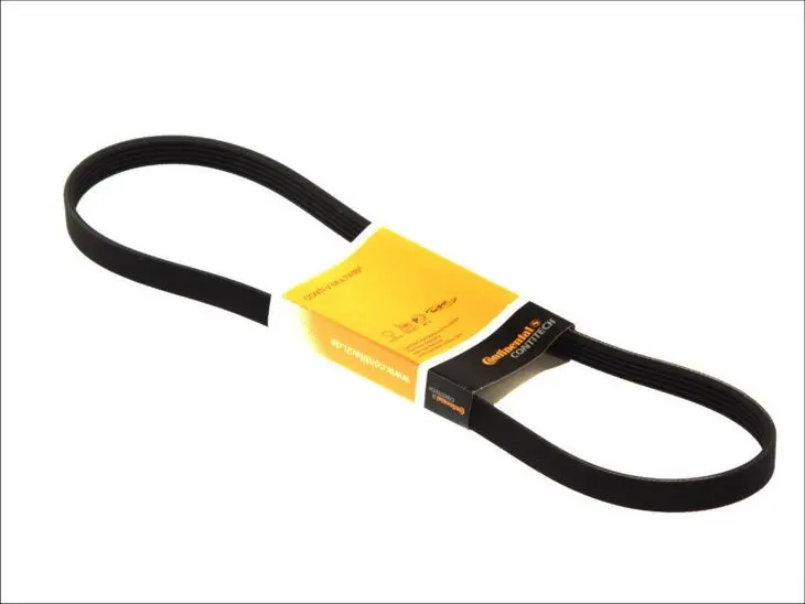 Pasek wielorowkowy (5PK934) CONTITECH – 5 PK 934
