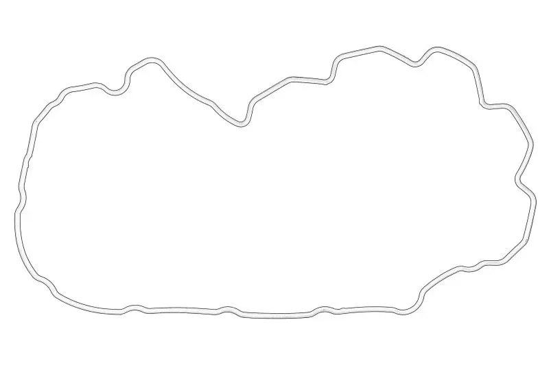 Uszczelka pokrywy zaworów CNH – 504070040-CNH