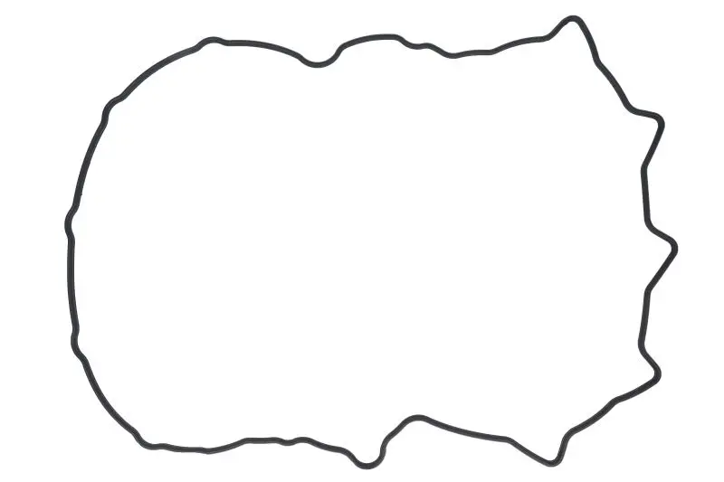 Uszczelnienie pokrywy zaworów FPT – 504070040-FPT