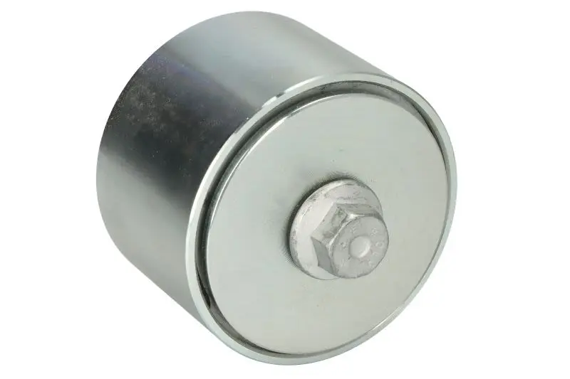 Napinacz paska wielorowkowego FPT – 504078065-FPT