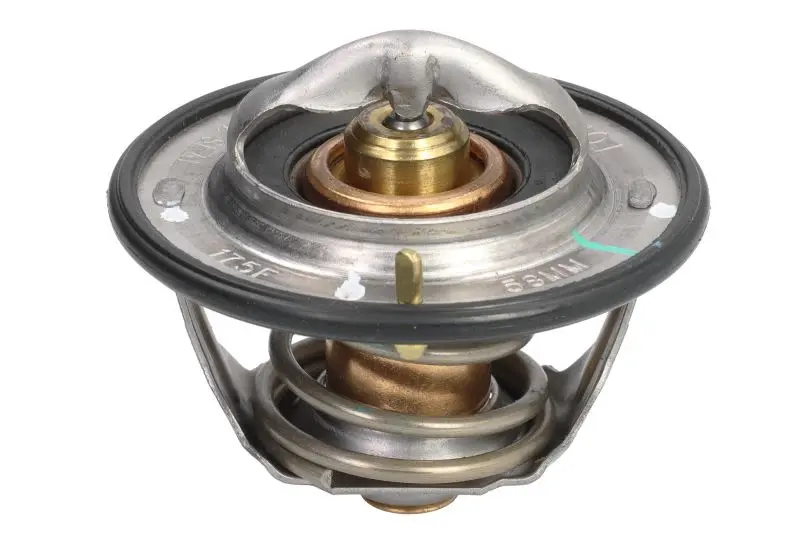 Termostat cieczy chłodzącej FPT – 504384724-FPT