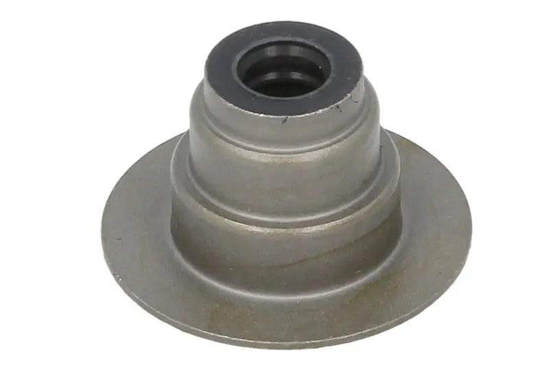 Uszczelniacz trzonka zaworu FP DIESEL – 5253590-FP