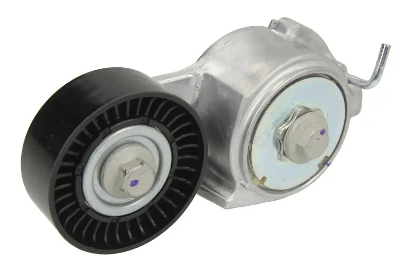 Napinacz paska wielorowkowego INA – 534 0069 10