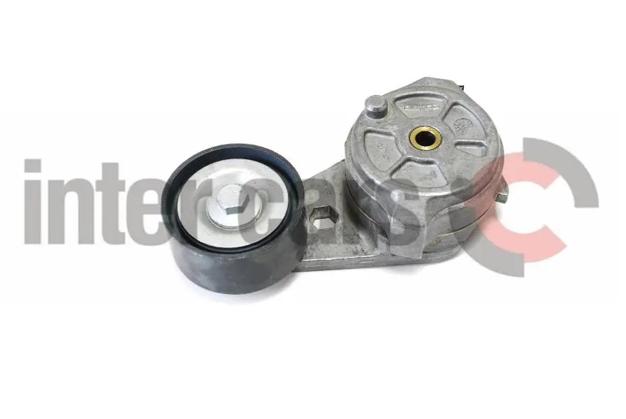Napinacz paska wielorowkowego INA – 534 0087 20