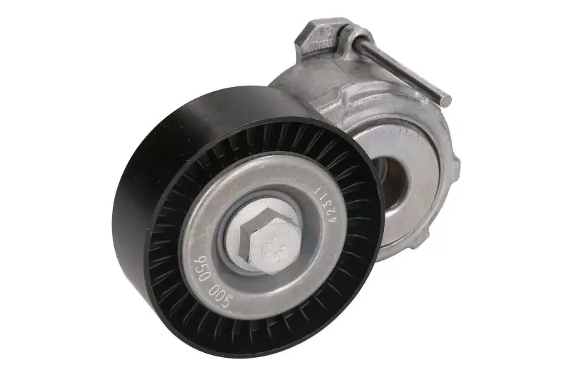 Napinacz paska wielorowkowego INA – 534 0110 20