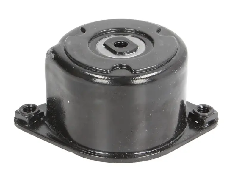 Napinacz paska wielorowkowego INA – 534 0170 10